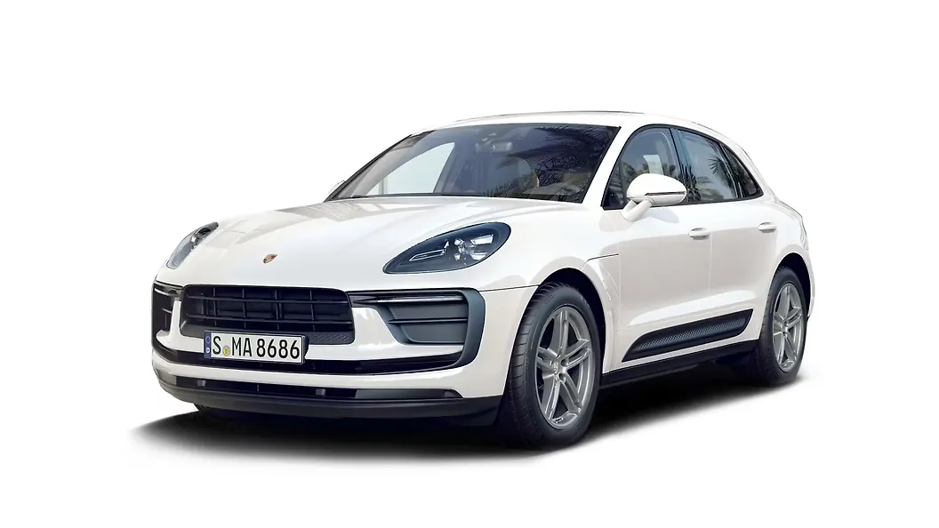 Macan in White
