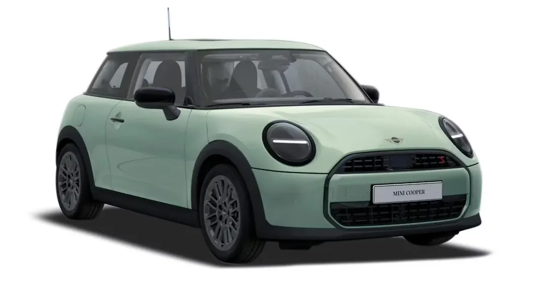Cooper in Ocean Wave Green