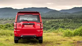 Rear View