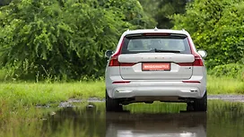Rear View