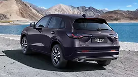 Rear View
