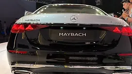 Rear View